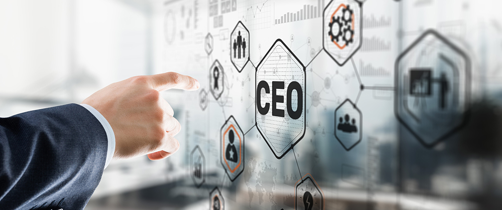 Fractional CEO